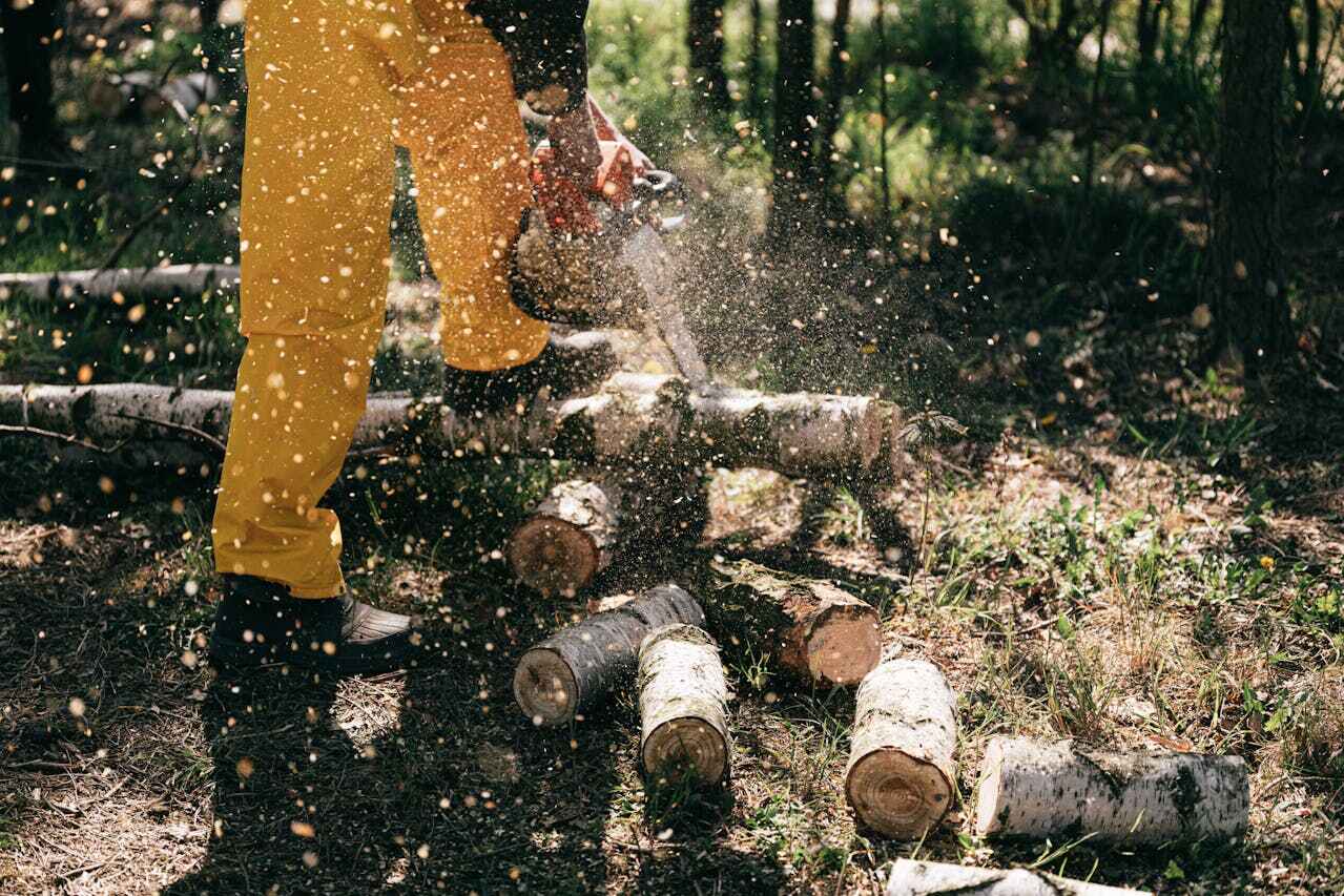 Best Tree Branch Trimming  in Lithonia, GA